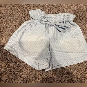 American Eagle Outfitters Light Blue Pinstripe Paperbag Waist Shorts